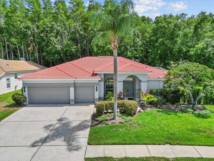 photo 1: 3181 STERLING STREET, TARPON SPRINGS FL 34688