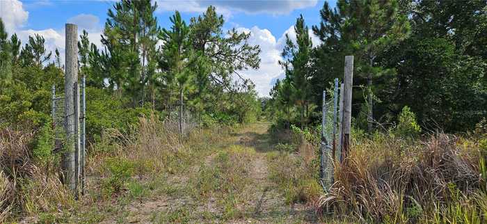 photo 2: 11550 STATE ROAD 60 E, LAKE WALES FL 33898