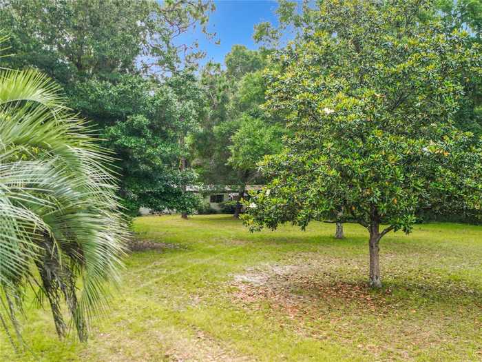 photo 76: 3801 SW 86TH TERRACE, OCALA FL 34481