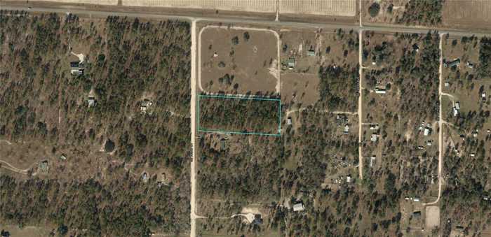 photo 1: 6095 SE 143RD COURT, MORRISTON FL 32668