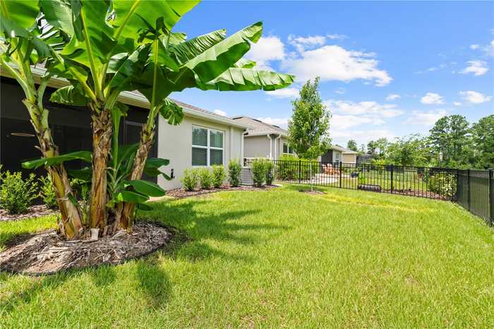 photo 44: 18119 TURNING LEAF CIRCLE, LAND O LAKES FL 34638