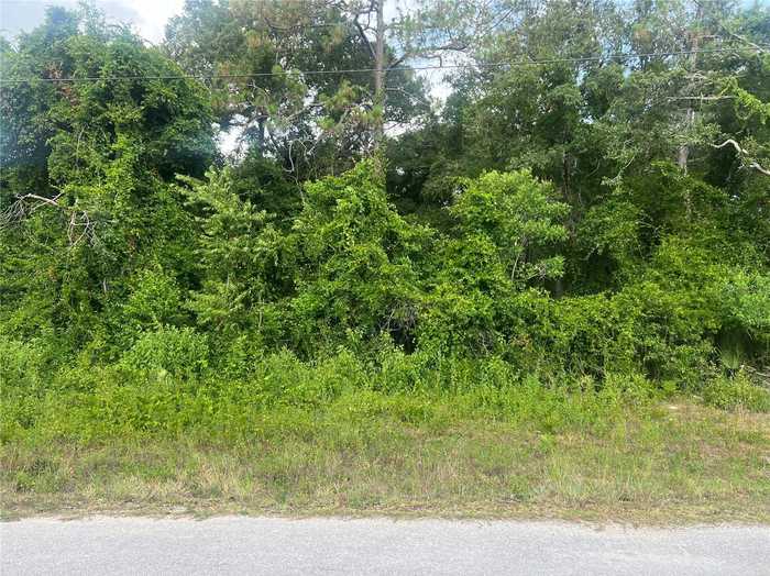 photo 1: SE 175TH TERRACE ROAD, SILVER SPRINGS FL 34488