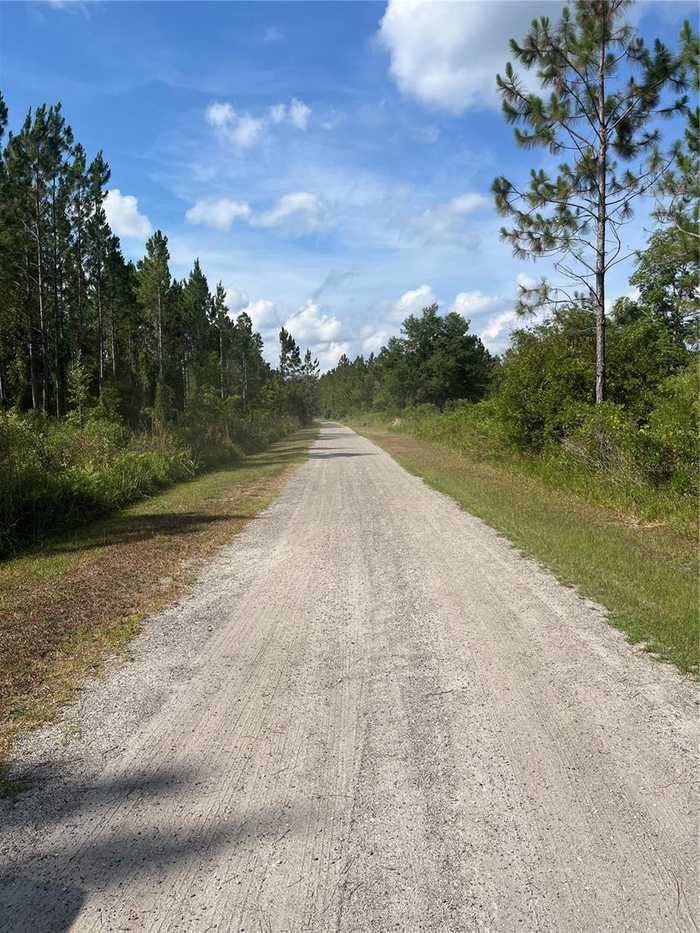 photo 15: WILD CUR ROAD, PIERSON FL 32180