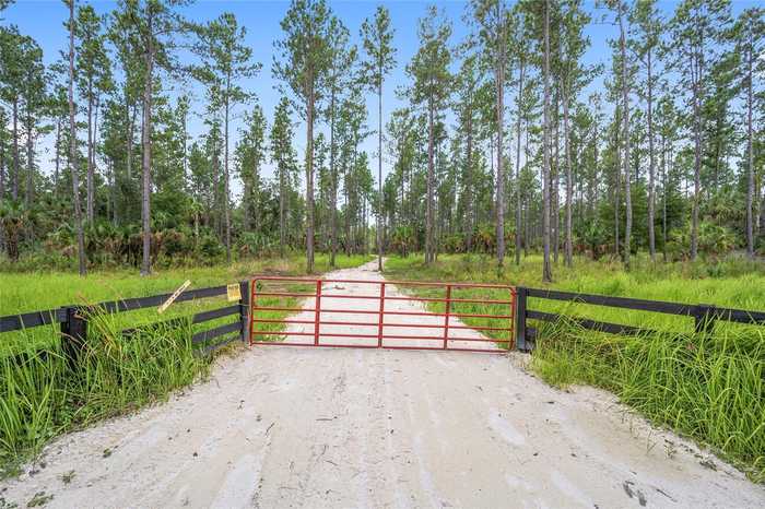 photo 2: LOT 3 NE 90TH STREET ROAD, OCALA FL 34479