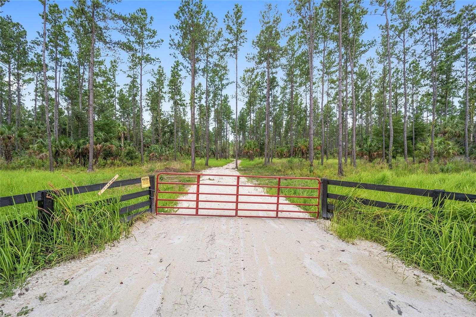 photo 3: LOT 3 NE 90TH STREET ROAD, OCALA FL 34479