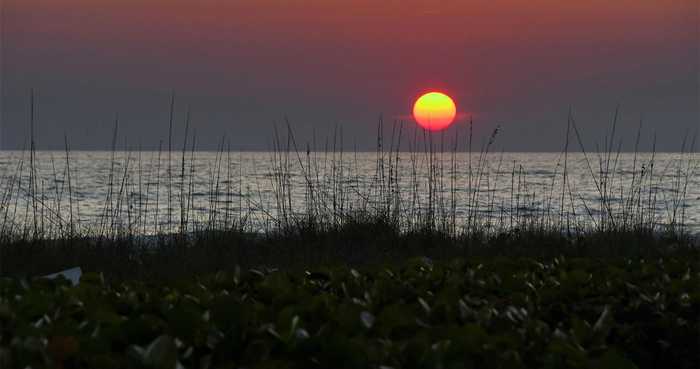 photo 29: 591 RUSSELL STREET, LONGBOAT KEY FL 34228