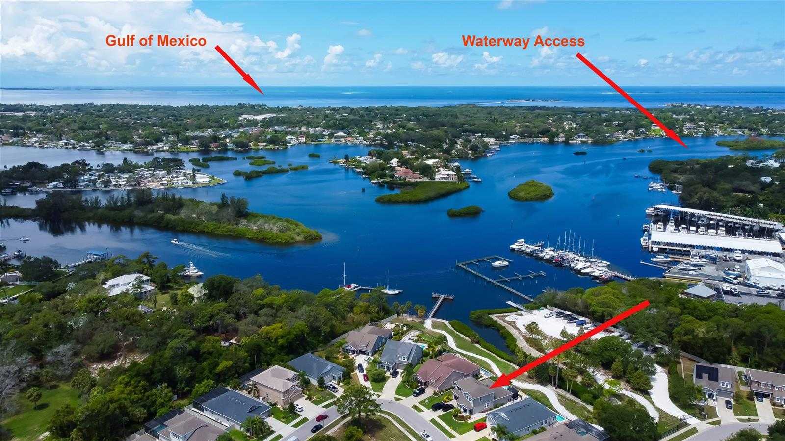 photo 3: 1255 WINDY BAY SHOAL, TARPON SPRINGS FL 34689