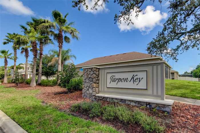 photo 43: 1255 WINDY BAY SHOAL, TARPON SPRINGS FL 34689