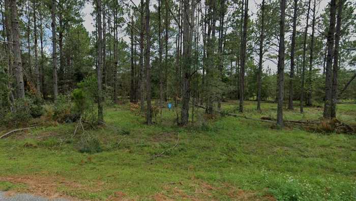 photo 2: 13155 88TH TRAIL, LIVE OAK FL 32060