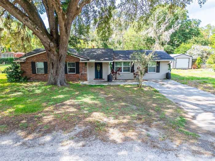 photo 81: 207 ORANGE DRIVE, LUTZ FL 33548