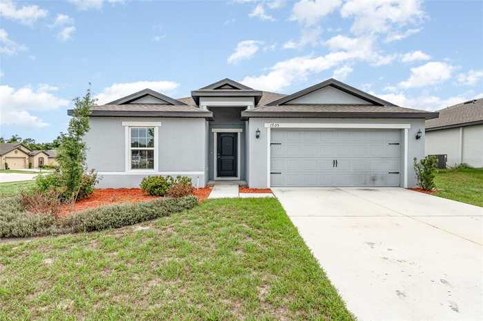 photo 1: 1705 GOPHER TREE STREET, MASCOTTE FL 34753