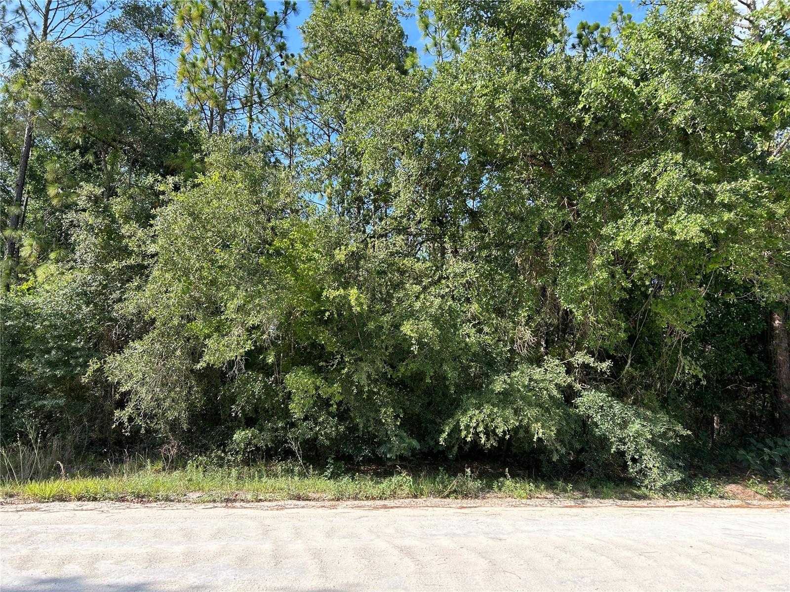 photo 2: TBD SE 140TH AVENUE, MORRISTON FL 32668