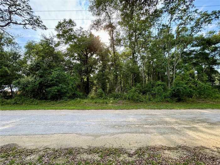 photo 1: 7351 KNOXVILLE DRIVE, WEBSTER FL 33597