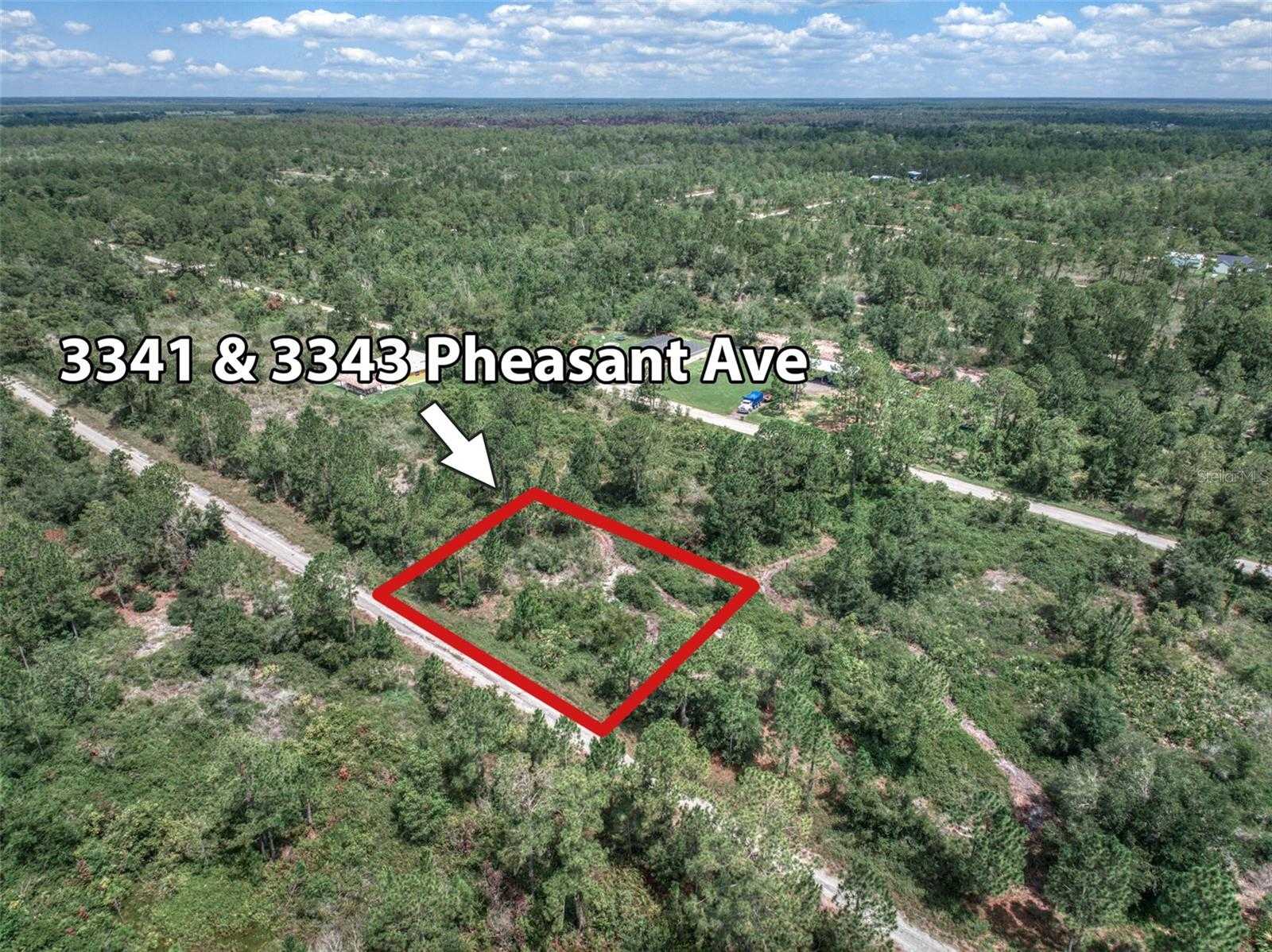 photo 1: 3343 PHEASANT AVENUE, LAKE PLACID FL 33852