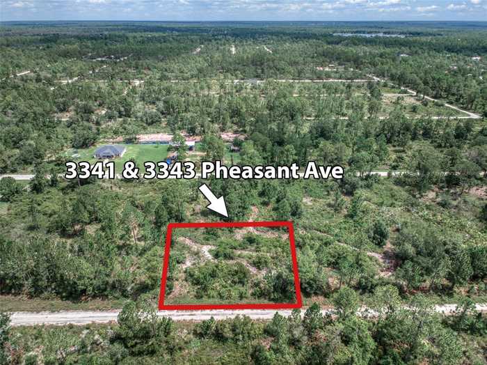 photo 2: 3343 PHEASANT AVENUE, LAKE PLACID FL 33852