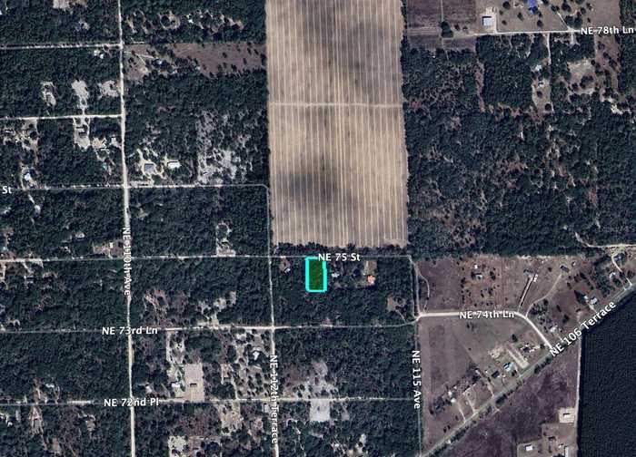 photo 6: NE 112TH TERRACE, BRONSON FL 32621