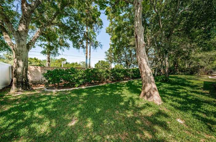 photo 42: 1733 SPLIT FORK DRIVE, OLDSMAR FL 34677