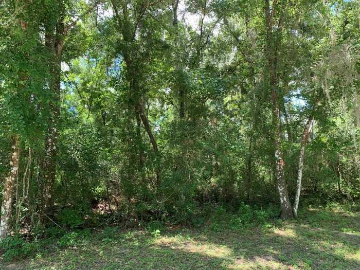 photo 1: 7329 PACKINGHAM DRIVE, WEBSTER FL 33597