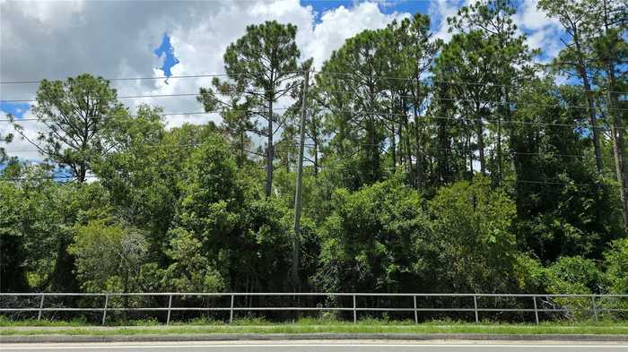 photo 5: 2483 HAMMOCK ROAD, SEBRING FL 33872