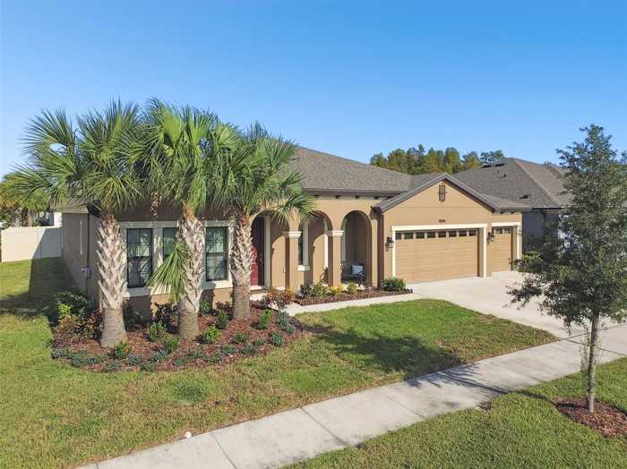 photo 2: 8800 BIRCHLEAF COURT, LAND O LAKES FL 34637