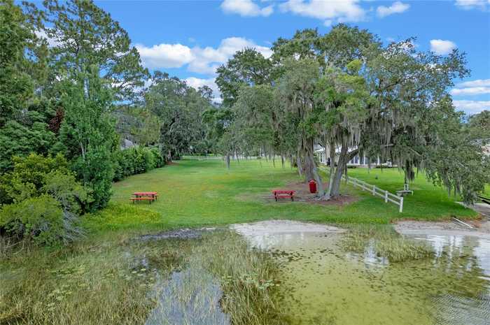 photo 42: 33412 E LAKE JOANNA DRIVE, EUSTIS FL 32736