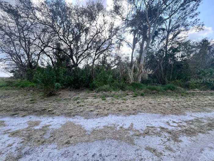 photo 6: 4108 SEBRING LAKES BOULEVARD, SEBRING FL 33875