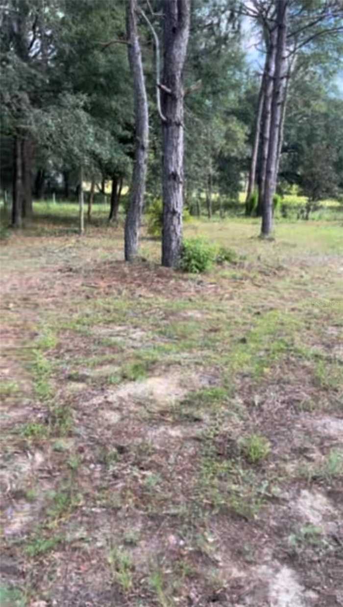 photo 1: TBD SE 212TH AVENUE, MORRISTON FL 32668