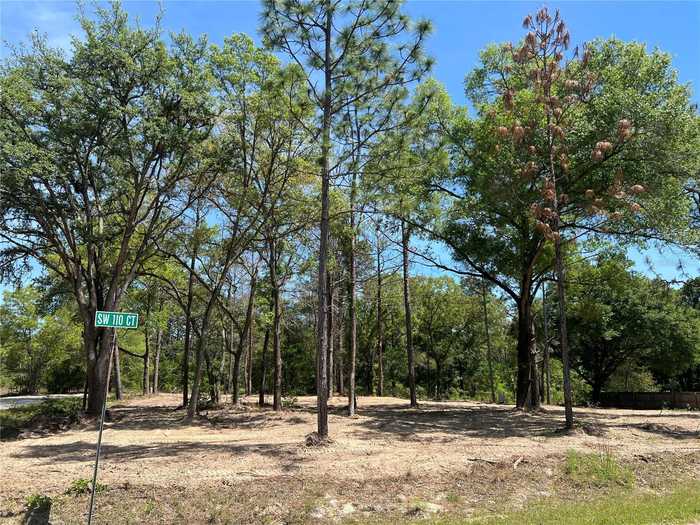 photo 1: SW 110TH COURT, DUNNELLON FL 34432