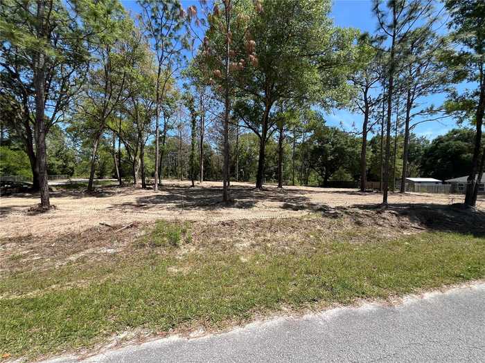 photo 2: SW 110TH COURT, DUNNELLON FL 34432