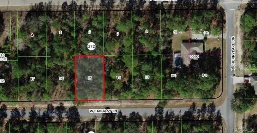 photo 2: 3877 W FANTASY LANE, CITRUS SPRINGS FL 34433