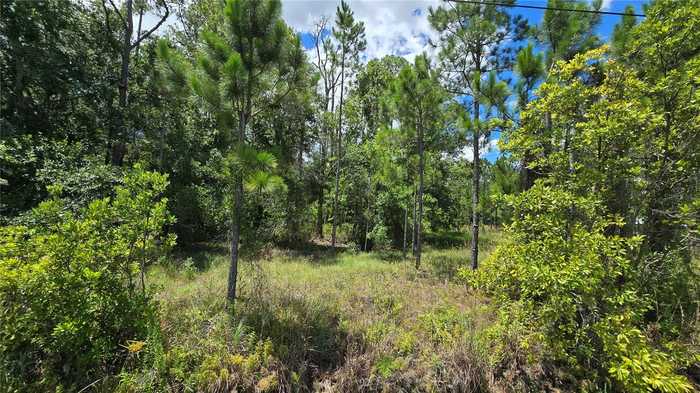 photo 1: 2355 HAMMOCK ROAD, SEBRING FL 33872