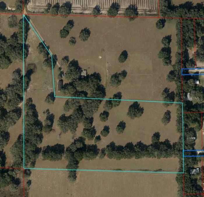 photo 11: 62 STREET SE, MORRISTON FL 32668