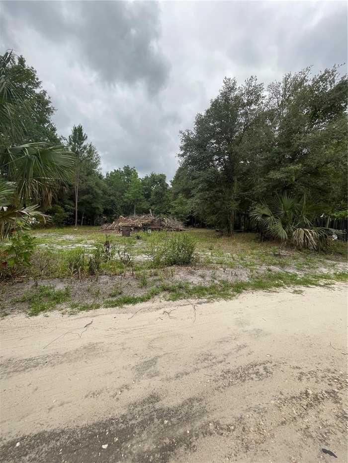 photo 3: 4401 NE 132 AVENUE, SILVER SPRINGS FL 34488