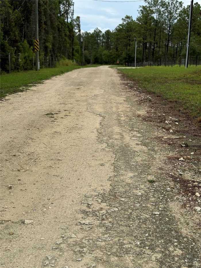 photo 2: NE 131ST AVENUE, WILLISTON FL 32696