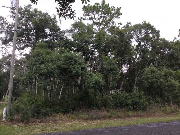 photo 1: 7265 N WESTBROOK WAY, DUNNELLON FL 34433