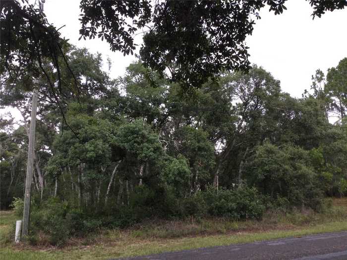 photo 2: 7265 N WESTBROOK WAY, DUNNELLON FL 34433