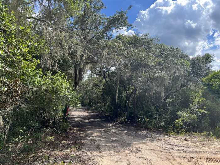 photo 17: TREASURE ISLAND ROAD, LEESBURG FL 34748