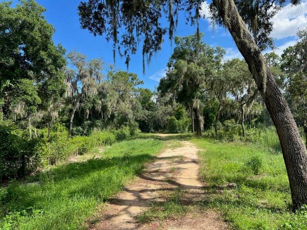 photo 3: TREASURE ISLAND ROAD, LEESBURG FL 34748