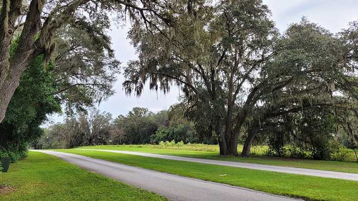 photo 17: 6596 SE 1ST LOOP, OCALA FL 34472