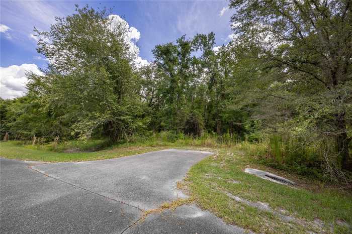 photo 2: NE 69TH PLACE, EARLETON FL 32631