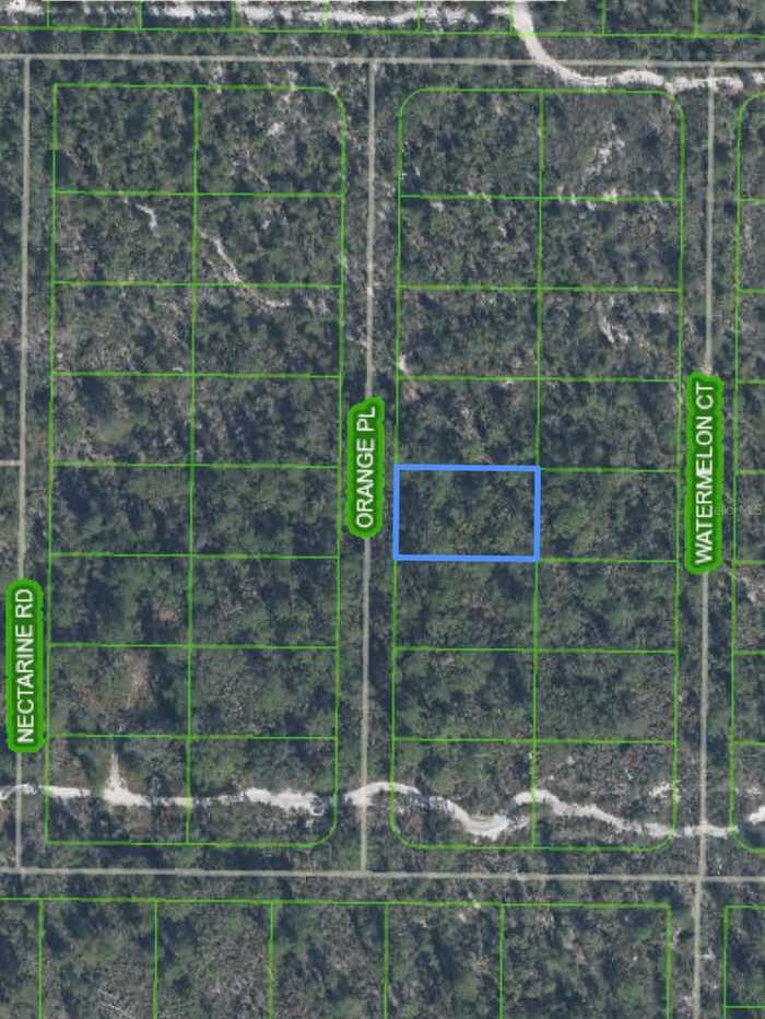 photo 2: 5518 ORANGE PLACE, SEBRING FL 33875