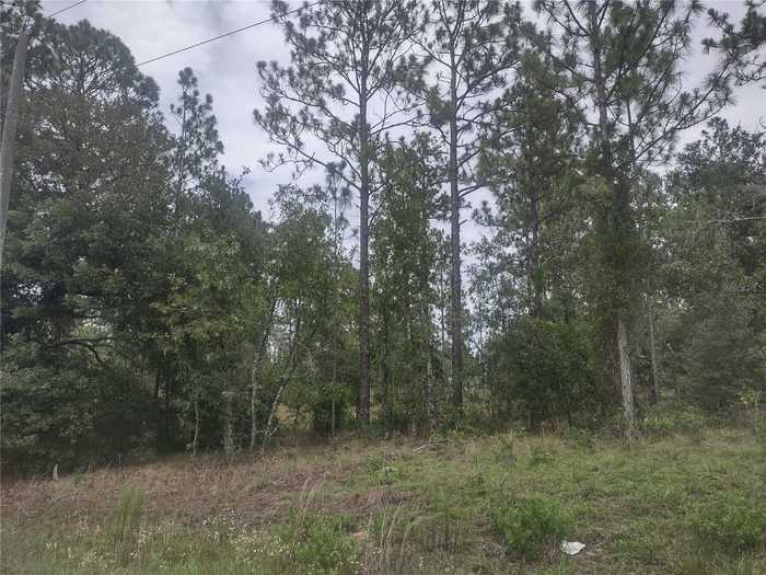 photo 1: NE 150TH AVENUE, WILLISTON FL 32696