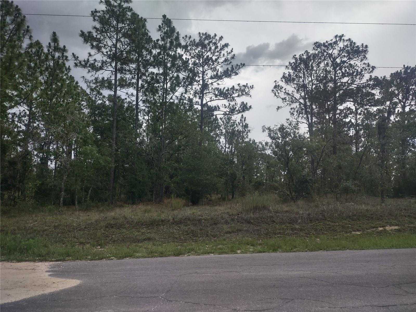 photo 3: NE 150TH AVENUE, WILLISTON FL 32696