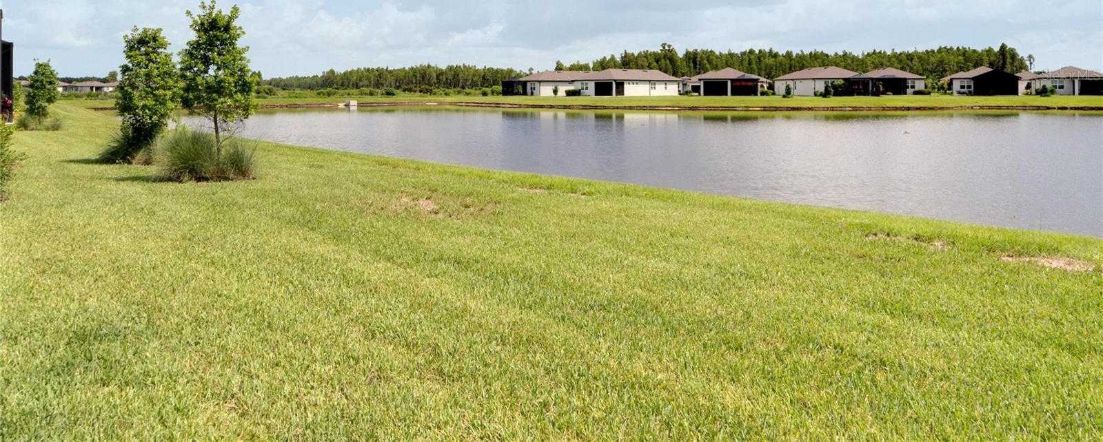 photo 2: 19773 SEA GLASS CIRCLE, LAND O LAKES FL 34638