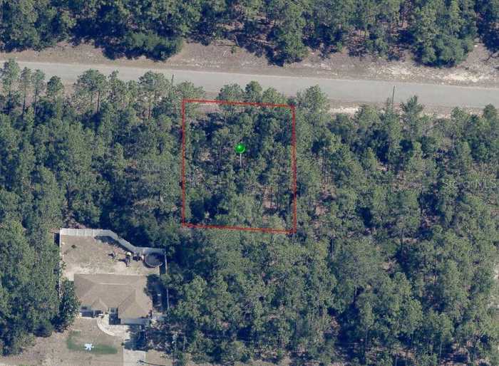 photo 1: 9335 N FAIRY LILY DRIVE, DUNNELLON FL 34433