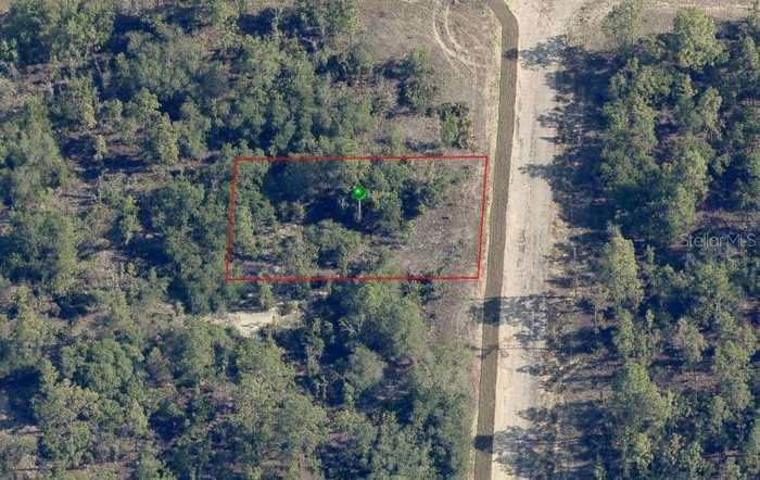 photo 1: 6656 N WINLOCK TERRACE, DUNNELLON FL 34433