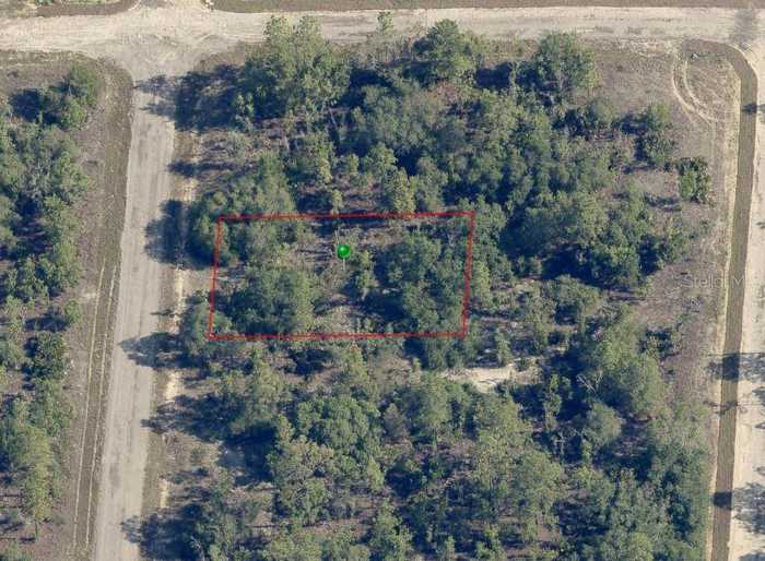 photo 2: 6659 N NORTHVALE TERRACE, DUNNELLON FL 34433