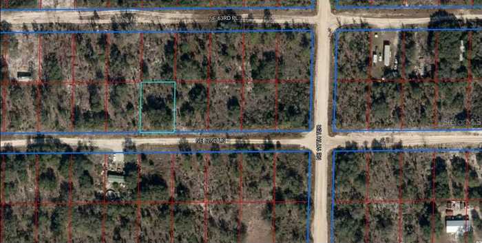 photo 1: Lot 20 NE 62ND LANE, WILLISTON FL 32696