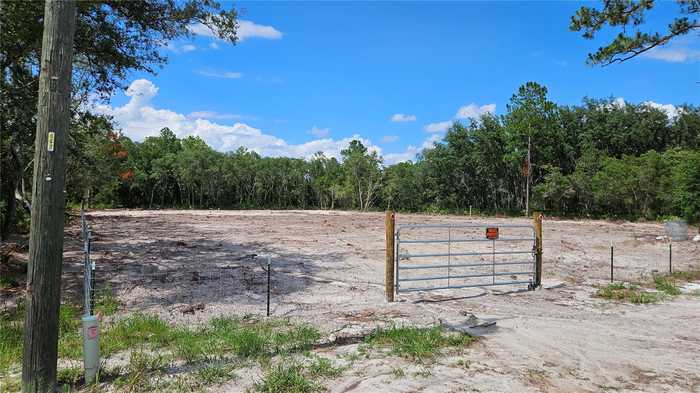 photo 1: 35391 OVERCUP DRIVE, WEBSTER FL 33597