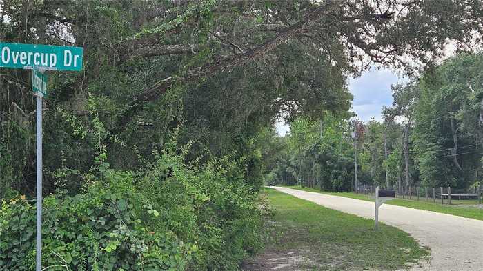 photo 16: 35391 OVERCUP DRIVE, WEBSTER FL 33597